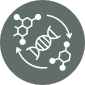 Cellular Metabolism Energy