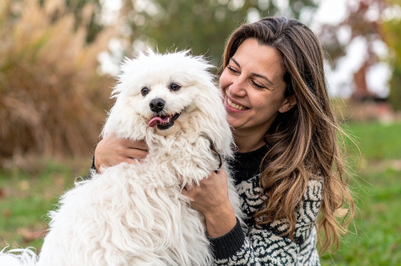 Companion Animal Wellness
