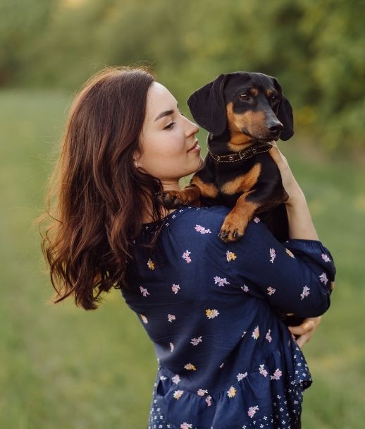 Dog Wellness Supplement