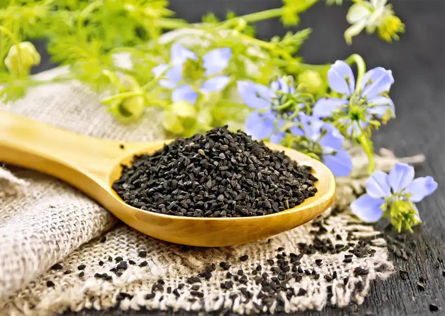 Nigella sativa Seeds