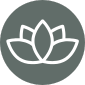Promotes Resilience Stress Relief